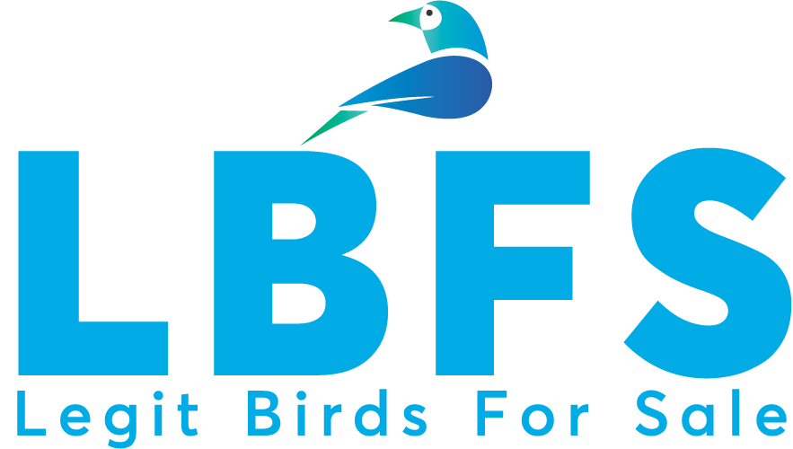 buy birds Online